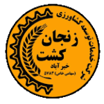 زنجان کشت خیرآباد
